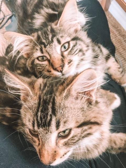 Jack & Teddy