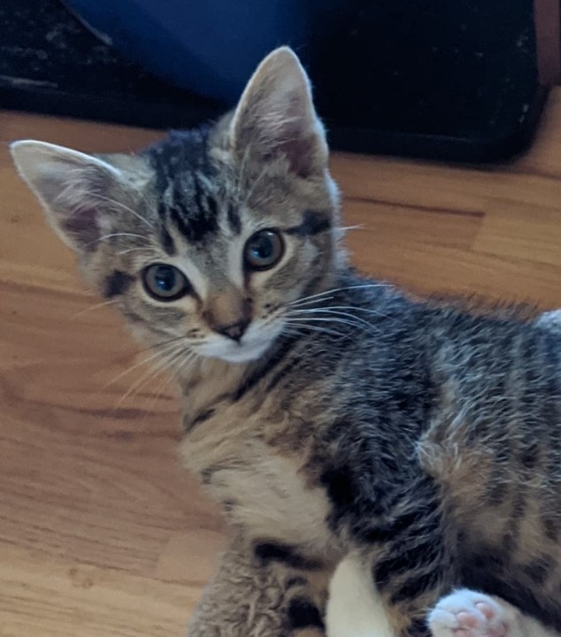 Stanley