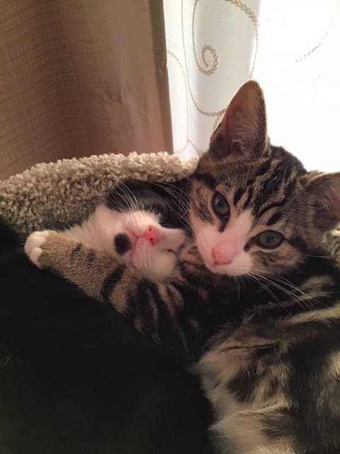 Moe & Millie