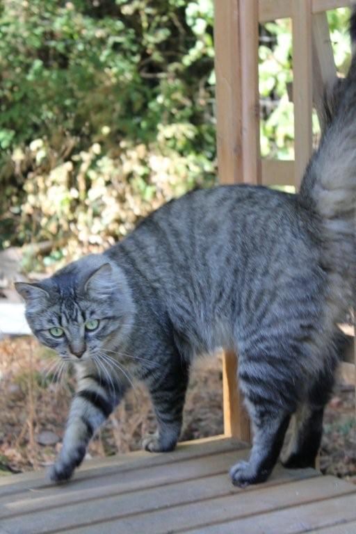 Sam