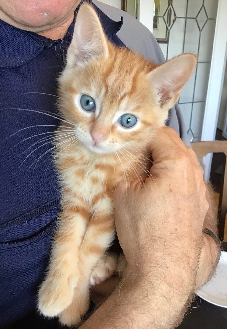 Sid