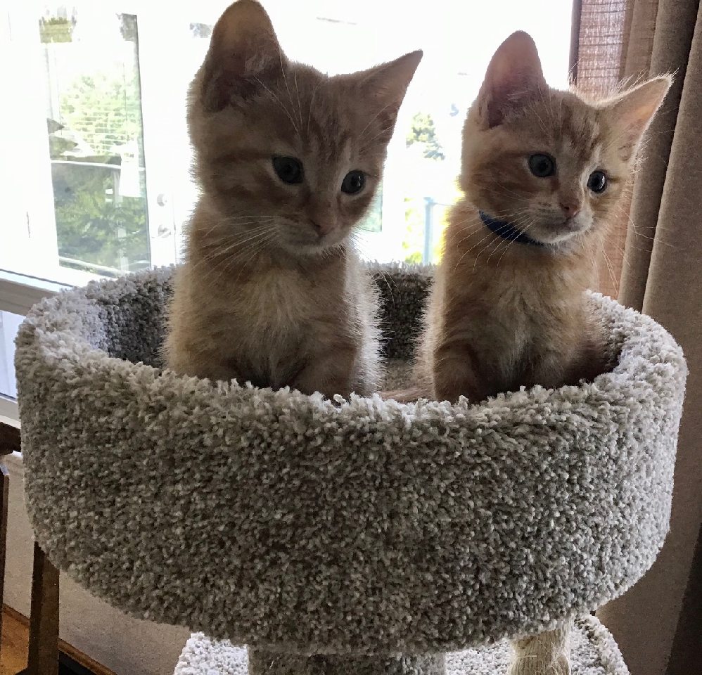 Wally & Sid