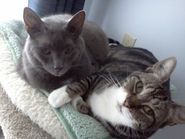 Clayton and Miss Ellie